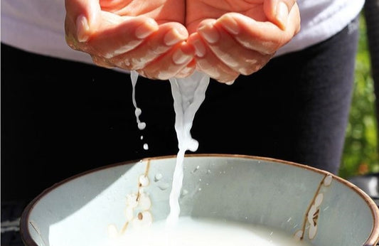 Rice Water Toner: The Ultimate Solution for Oily Skin